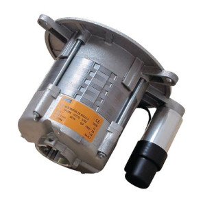 Moteur hg150w ac accoupl- GEMINOX - 63003768