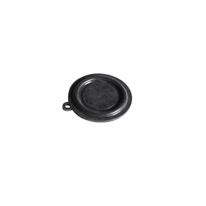 Membrana- VAILLANT - 0020107790