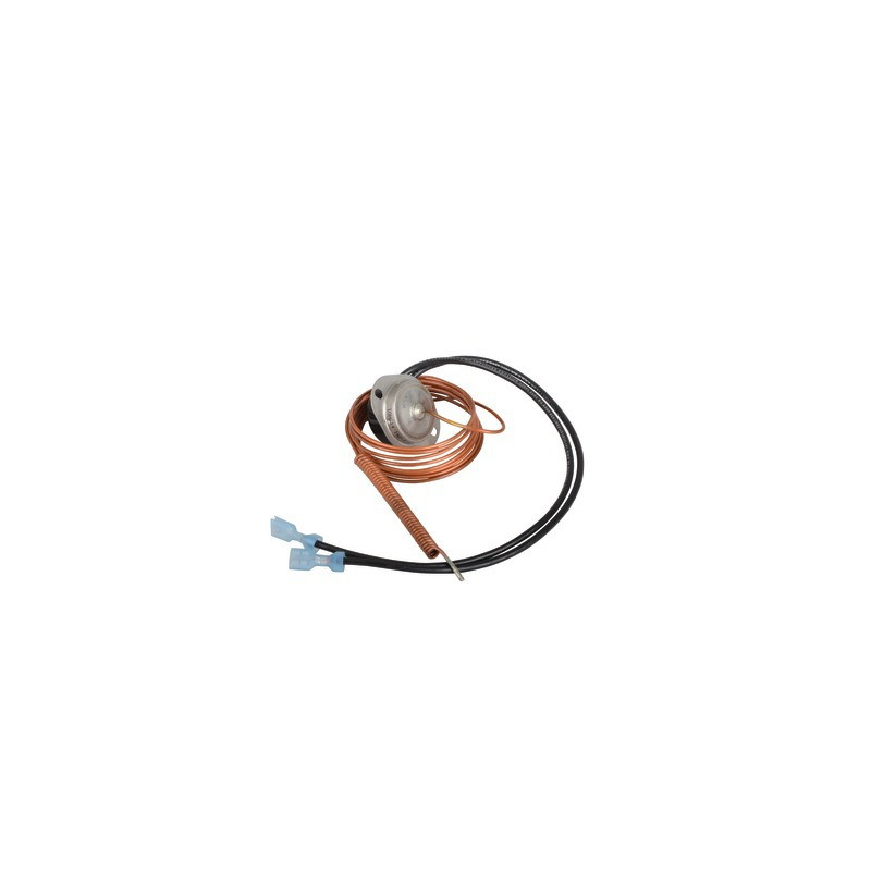 Despliegue del termostato de humo 110 °C- AOSMITH - 0071587002(S)