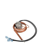 Despliegue del termostato de humo 110 °C- AOSMITH - 0071587002(S)