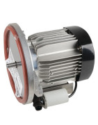 Motor ls 63 180W- ATLANTIC - 060078 Motor ls 63 180W- ATLANTIC - 060078