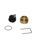 Conjunto cabezal del desgasificador- DIFF pour Chaffoteaux - 61304608