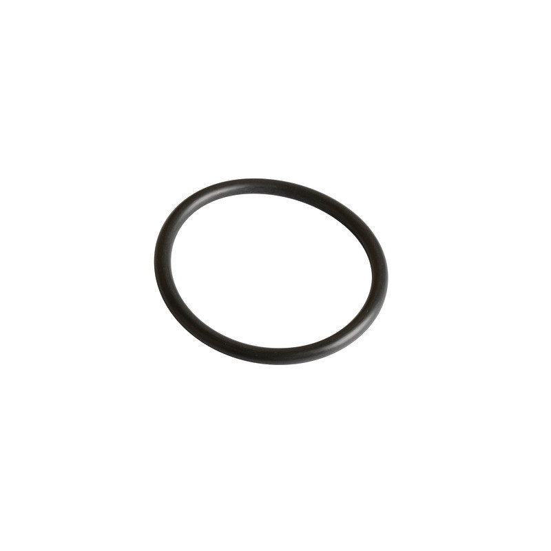 Junta R36 vitón (sensor V97)- FRISQUET - 240134