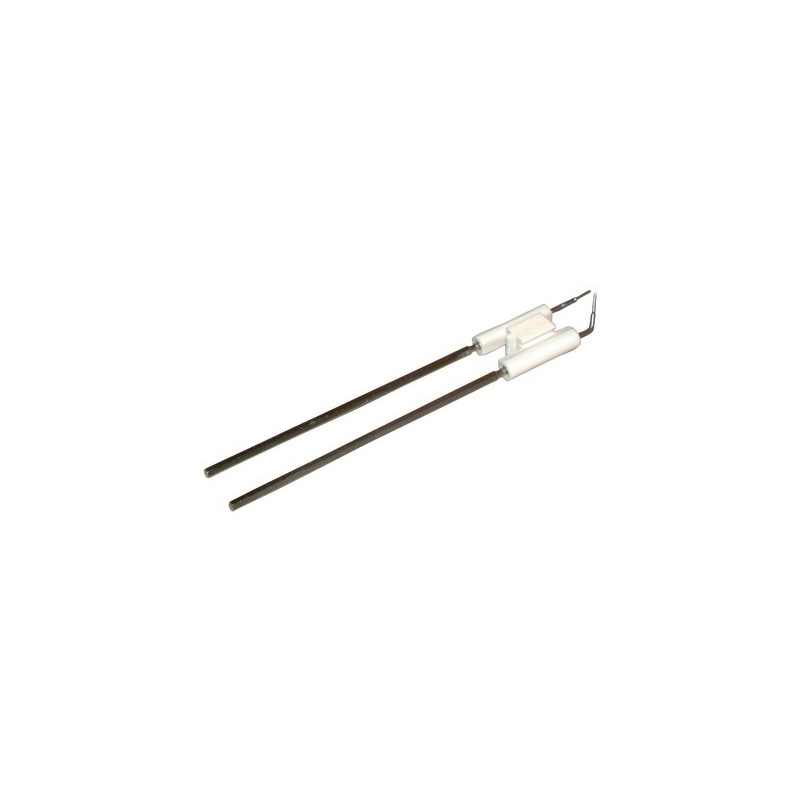 Bloque electrodo 15M/20M- RIELLO - 3006076