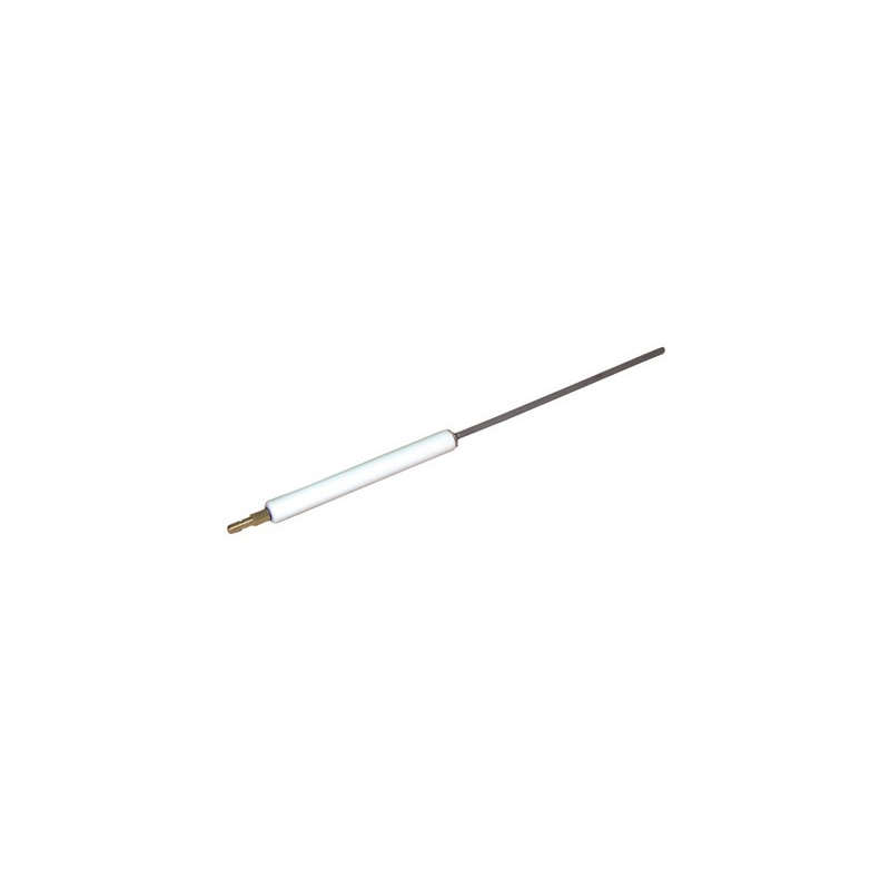 Electrodo ionización GS10- RIELLO - 3006708