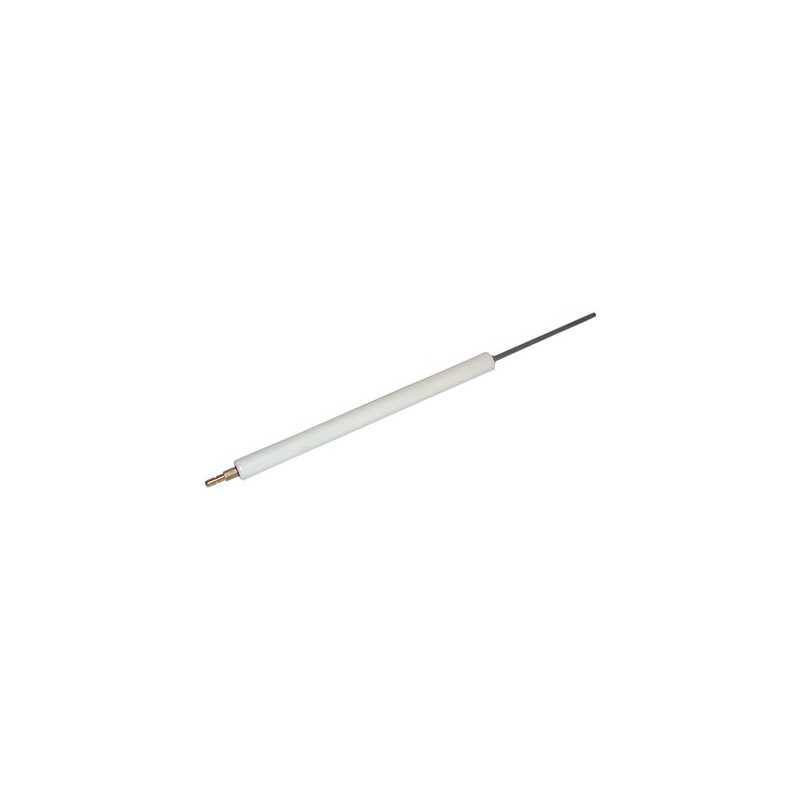 Electrodo ionización GS20/20D- RIELLO - 3006709