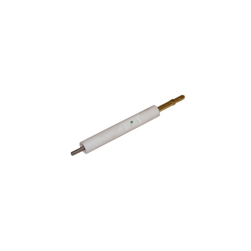 Electrodo encendido BS1- RIELLO - 3008930
