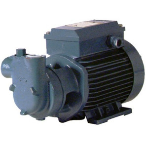 Grupo de trasiego baja presión CAM 60 750L/h- DIFF - 309490