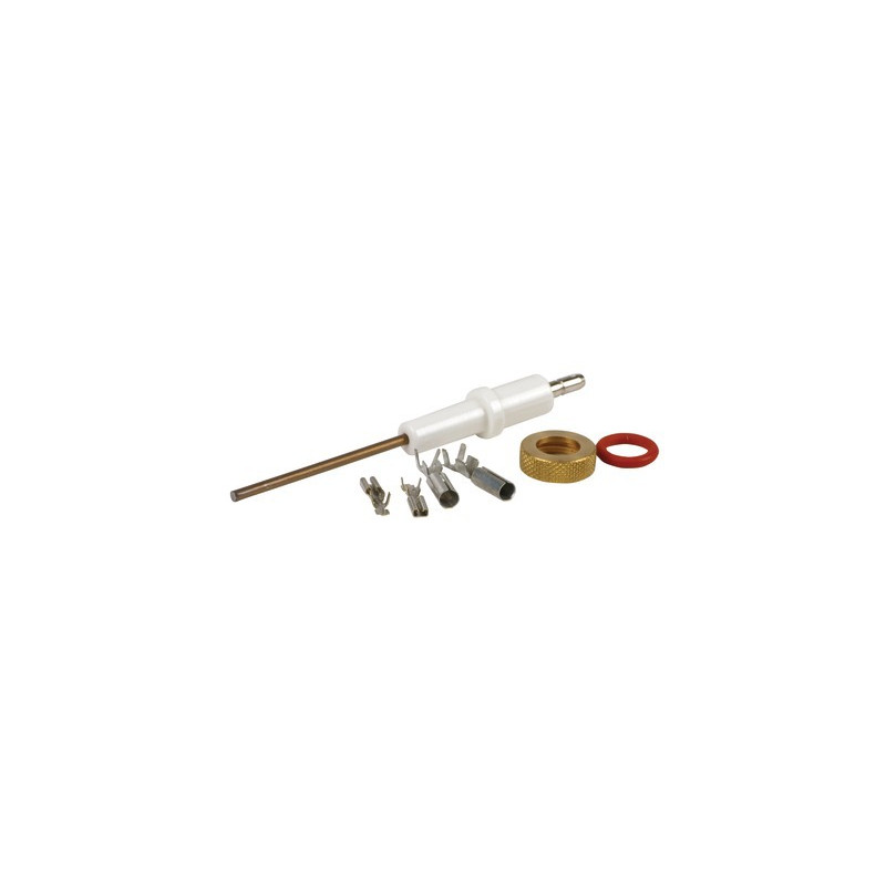 Electrodo de ionización ECONCEPT- FERROLI - 39806200