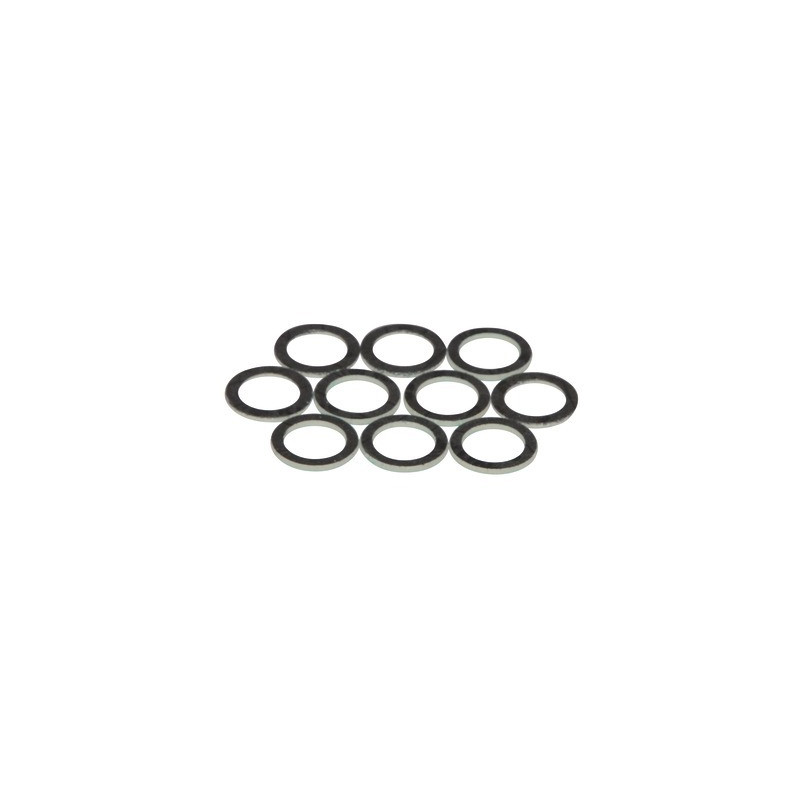 Kit n°10 guarn.3/4 (33700230)- FERROLI - 39808120