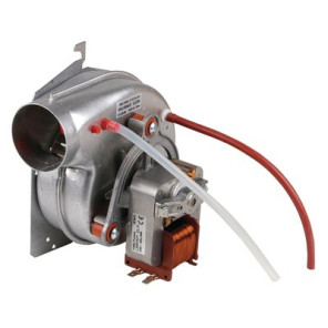 Extractor- FERROLI - 39819310
