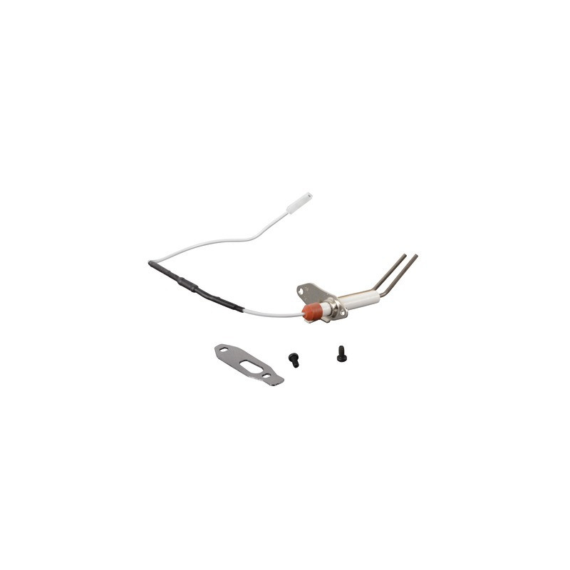 Kit de grupo de electrodos bluehelix proc- FERROLI - 39846091