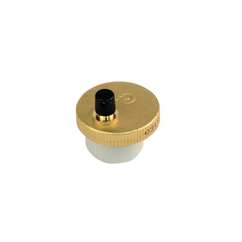Purgador automático BICERANE F3AA40890- DIFF pour Frisquet - F3AA40890