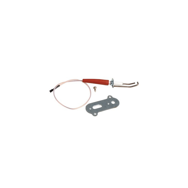 Electrodo de encendido domus isc r- RIELLO - 4050364
