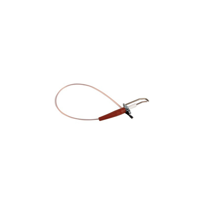Electrodo de encendido- RIELLO - 4050921