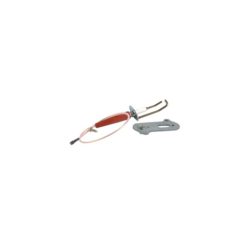 Electrodo de encendido- RIELLO - 4051202