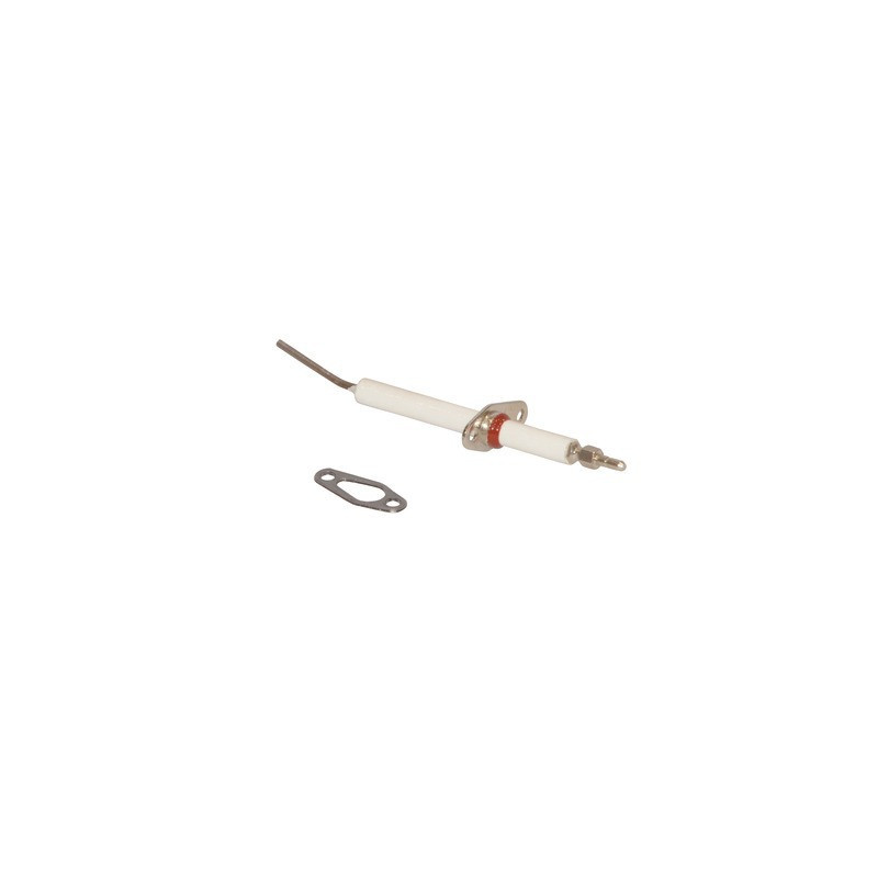 Electrodo de ionización aludomus- RIELLO - 4052052