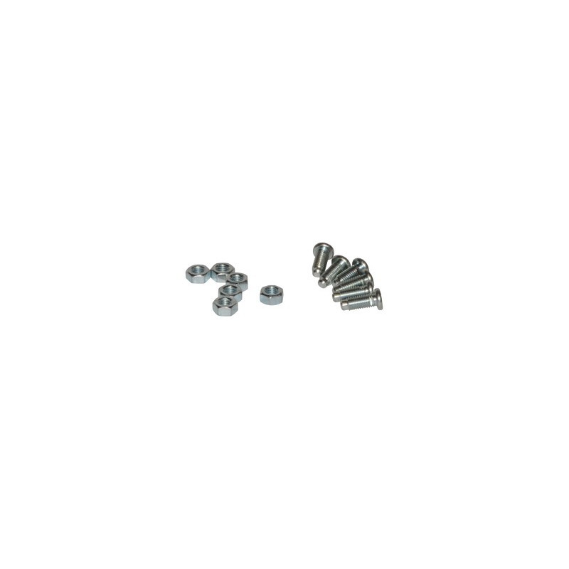 Vis antirotation (x6)- DIFF pour Atlantic - 190043