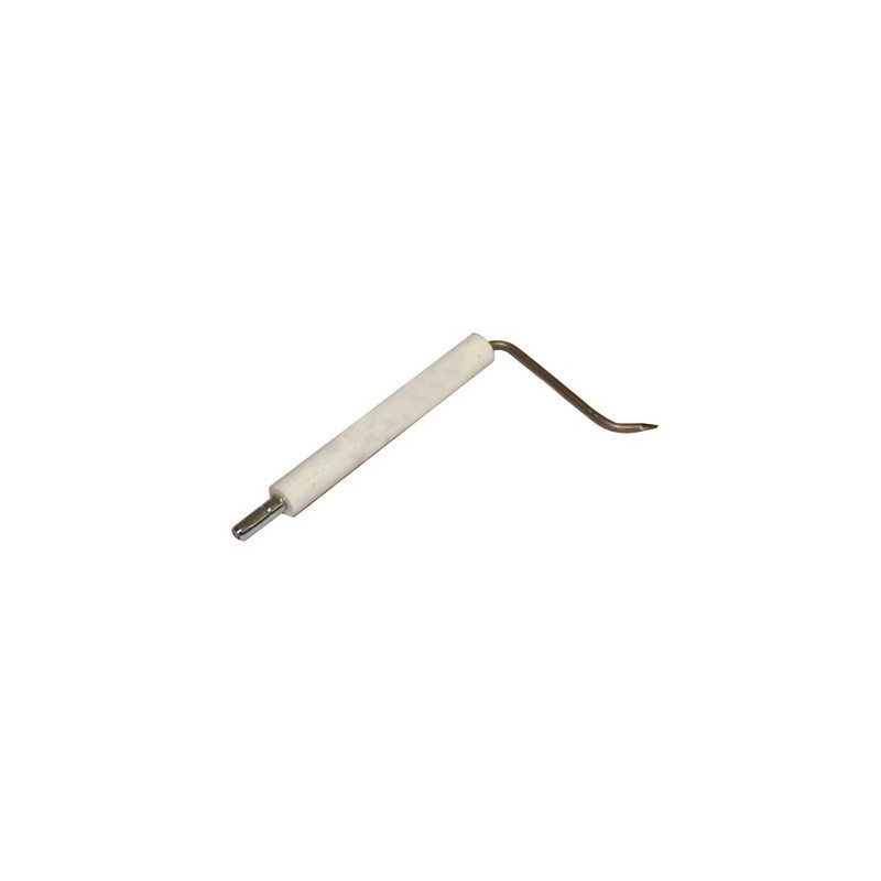 Sonda ionización BG200- DIFF pour Bentone - 11534703