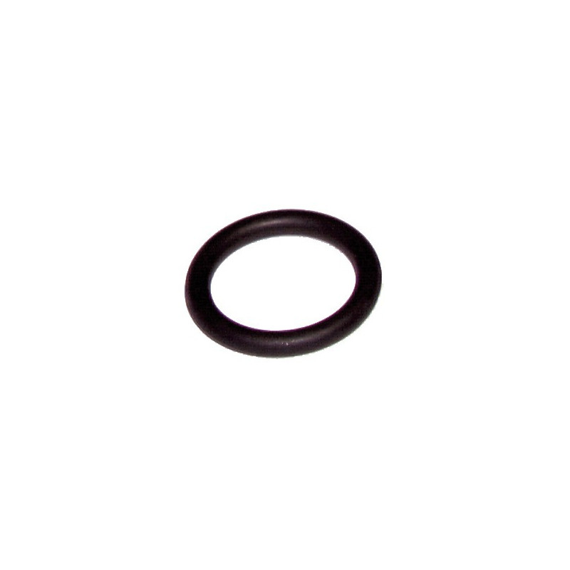 Anillo de estanqueidad Résidence- RIELLO - 4364282  - (X10)