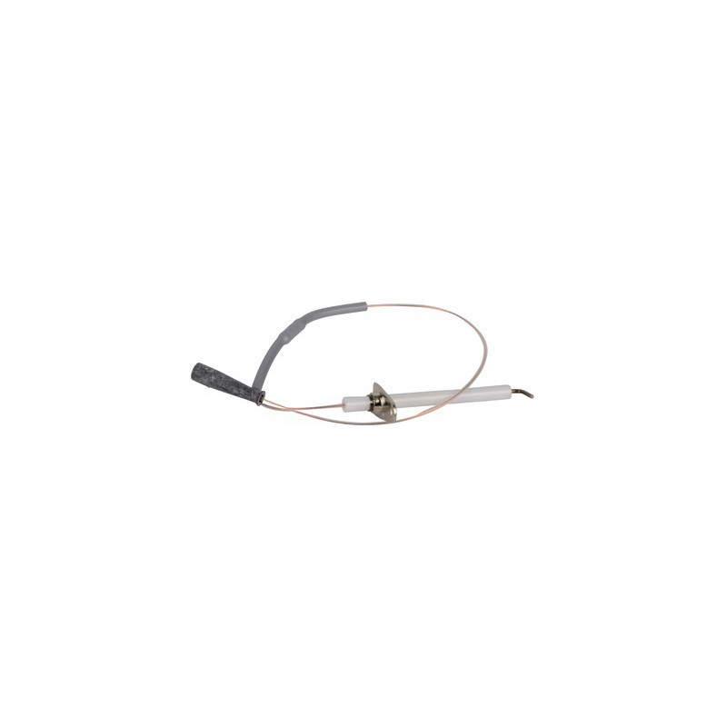 Electrodo de encendido / ionización- RIELLO - 4365700