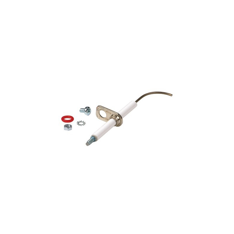 Electrodo- RIELLO - 4365868