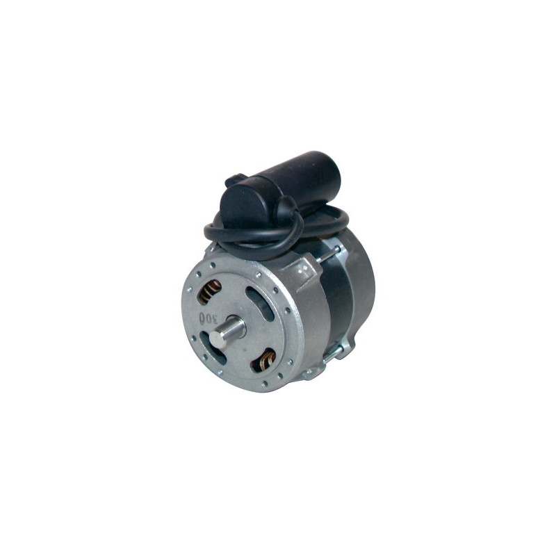 Motor AEG completo- DIFF pour Atlantic - 150366