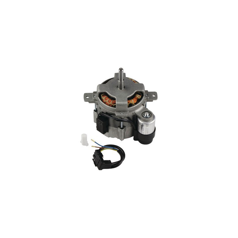 Motor 230v 50hz 110w- GEMINOX - 5883876