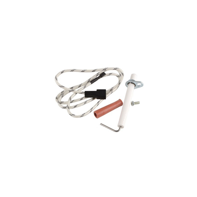 Electrodo ionización sin cable- CHAFFOTEAUX - 60084282