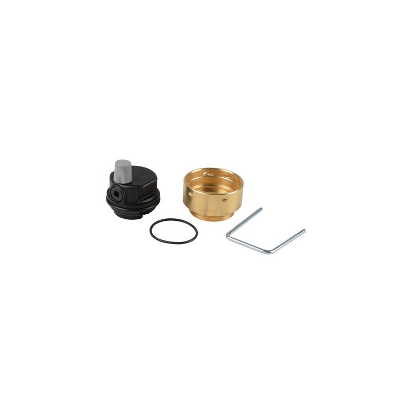 Cabezal de desgasificador (Conjunto)- CHAFFOTEAUX - 61304608