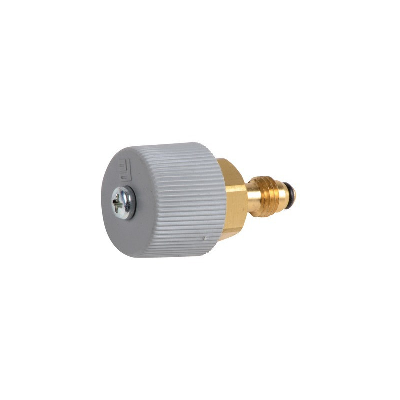 Cabezal grifo- CHAFFOTEAUX - 61314798