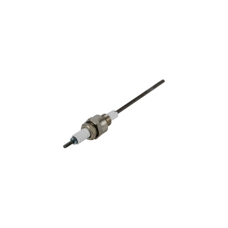 Electrodo ionización- RENDAMAX - 64201562