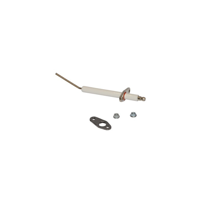Electrodo de ionización- RENDAMAX - 64202636