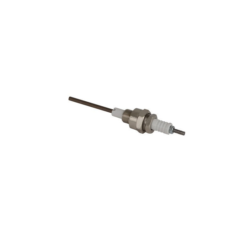 Electrodo ionización- RENDAMAX - 64202708