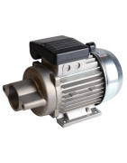 Motor estándar con brida NEMA 2 no ventilado- DIFF - 702094