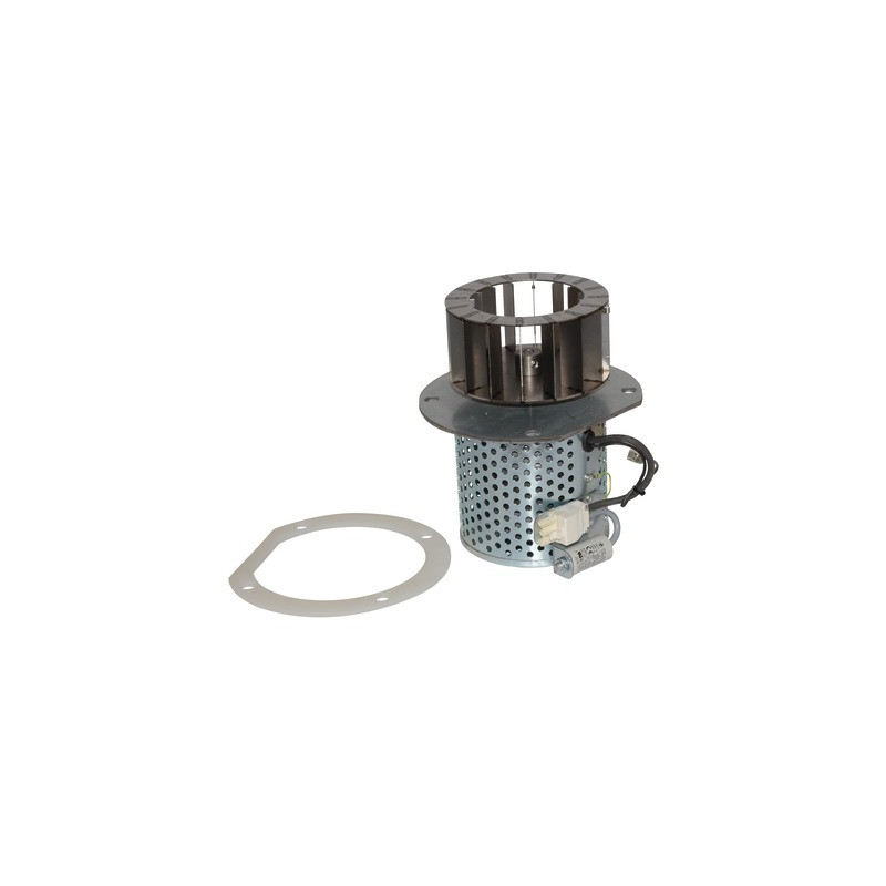 Extractor de humos EBM (antes del 08/2012)- FROLING - 72831A