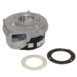 Extractor NRG118- DE DIETRICH CHAPPEE - 768062100