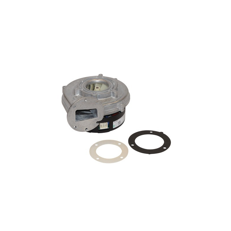Extractor NRG118- DE DIETRICH CHAPPEE - 768062100
