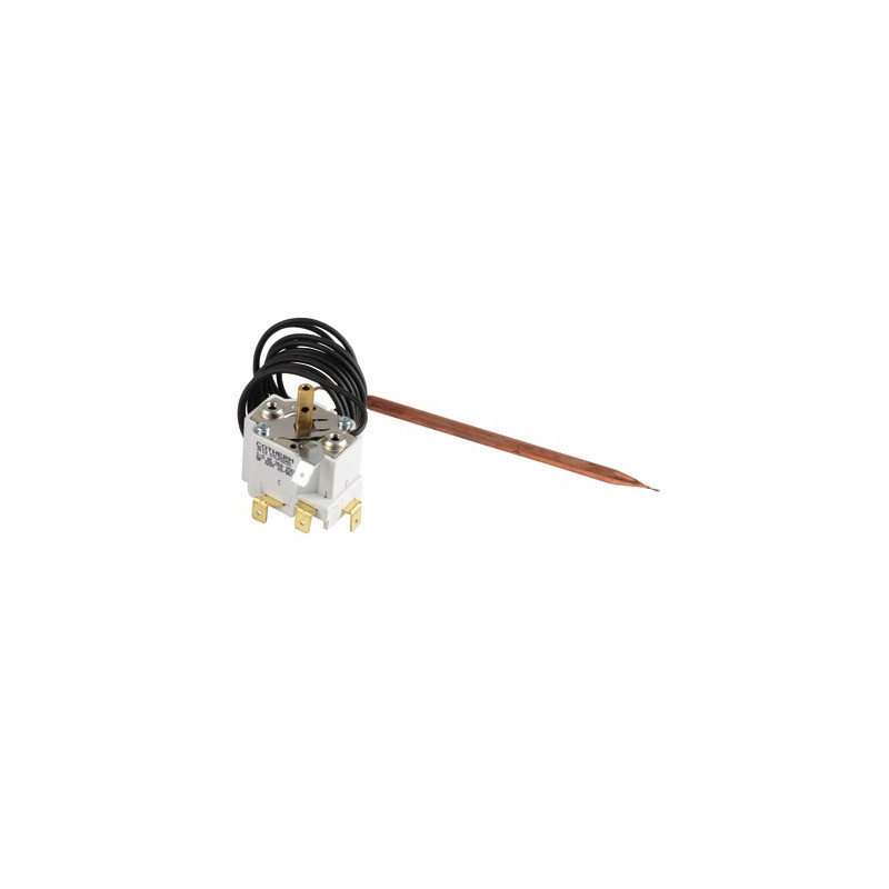 Termostato 20/80- GEMINOX - 87168109720