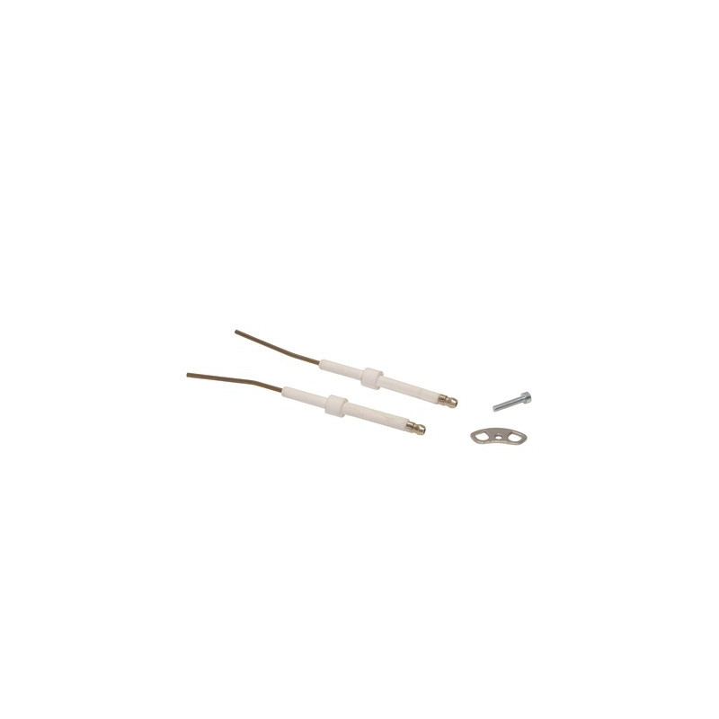 Electrodo- BOSCH - 8716860451