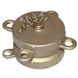 Racor de llenado boca hembra 2" con tapón- DIFF - 903487