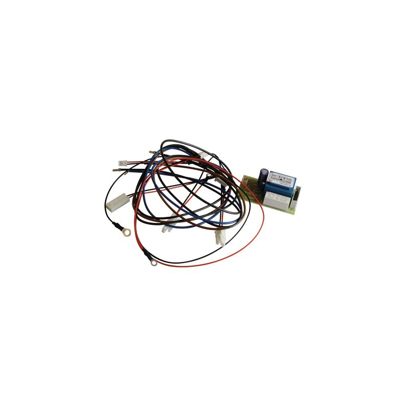 Circuito impreso ánodo electrico- CHAFFOTEAUX - 925348-01
