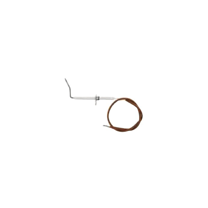 Kit electrodo ionización m295- BIASI - BI1413106