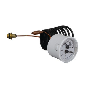 Manotermometro m90, 0-120ºc, 0-4 bar, ø43- BIASI - BI1475108