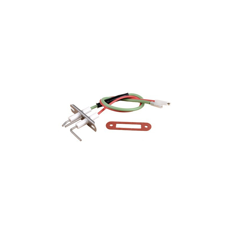 Electrodo AL ION R - después 00- FRISQUET - F3AA40552