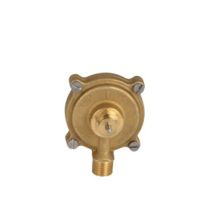 Presostato de bomba- CHAPPEE - JJJ005641850