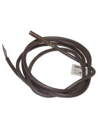 Sonda de cable LG-NI 1000 -30...130°C- SIEMENS - QAP21.3