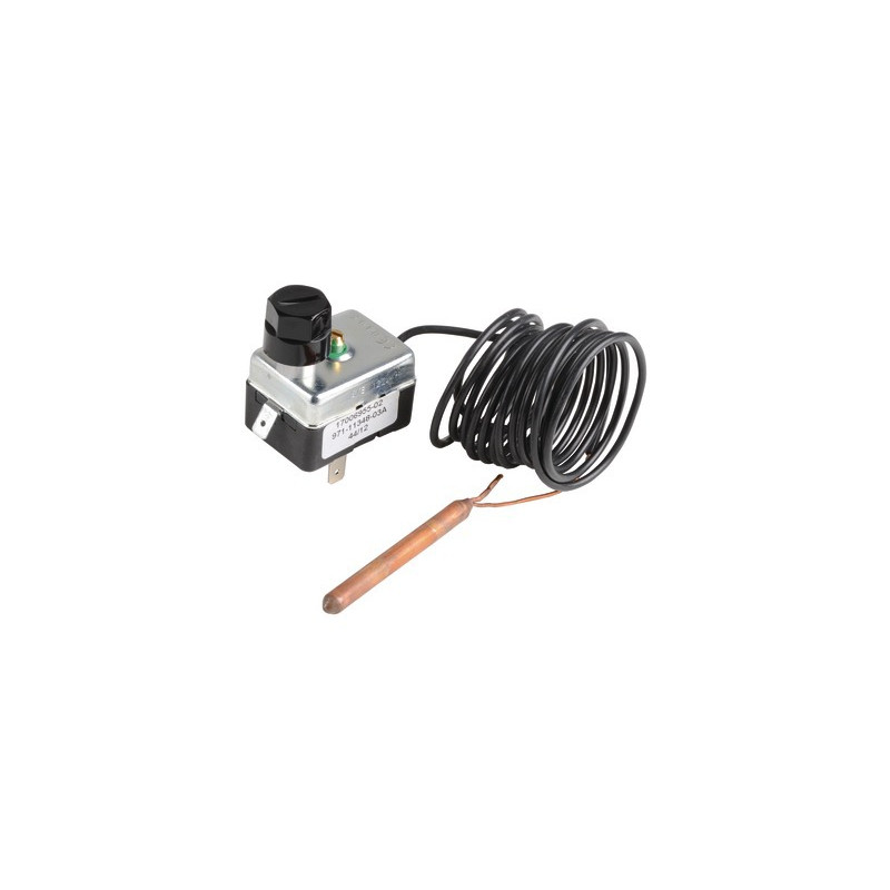 Termostato TG400 capilar 2m- CHAPPEE - S17006955