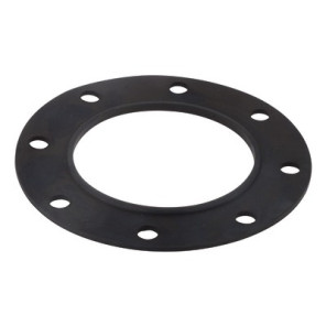 Junta para brida (1.COM01.011)- CHAPPEE - S19000022