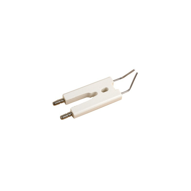 Bloque electrodo fuel- CHAPPEE - S58528438